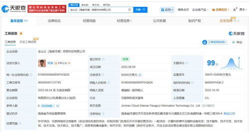 金山云旗下海南洋浦信息科技增資至6億美元，強化信息系統集成服務布局
